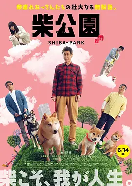 东北女人av