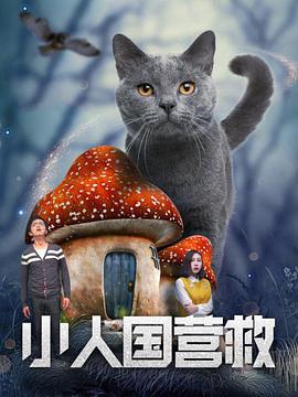 视频二区中文字幕