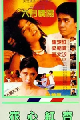 宣宣理论片