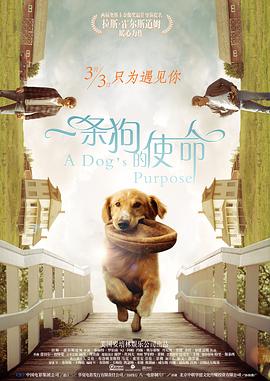 亚洲电影精品