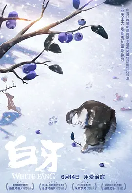 不卡一区二区在线观看