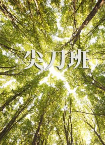 99精品福利视频
